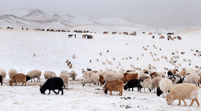 Нэгдүгээр сарын цаг агаарын урьдчилсан төлөв