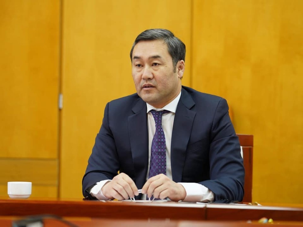 Н.Тавинбэхийг нотлох баримт устгах, нуун далдлах эрсдэлтэй гэж үзэн 30 хоногоор цагдан хорьжээ