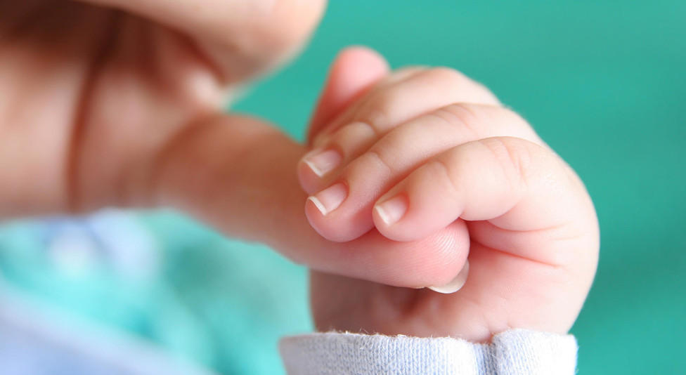 Төрөлт буурч, үндэстний ирээдүй доройтох дохио