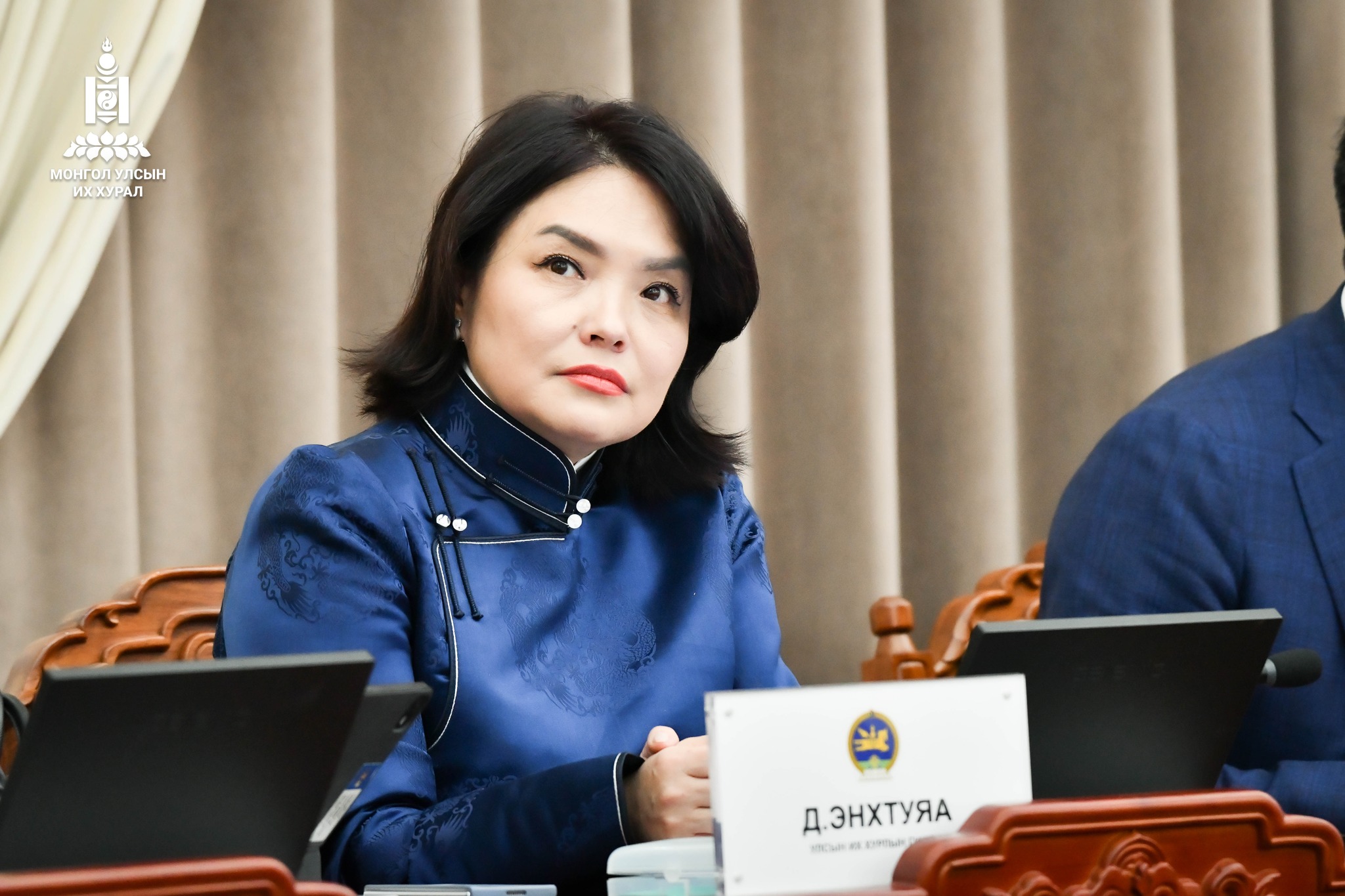 Д.Энхтуяа: МАН-д ахмадуудын 4 их наяд боломжгүй, харин хулгайд хэдэн зуун их наяд боломжтой 