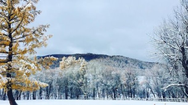 Өнөөдөр ихэнх нутгаар цаг агаар тогтуун байна