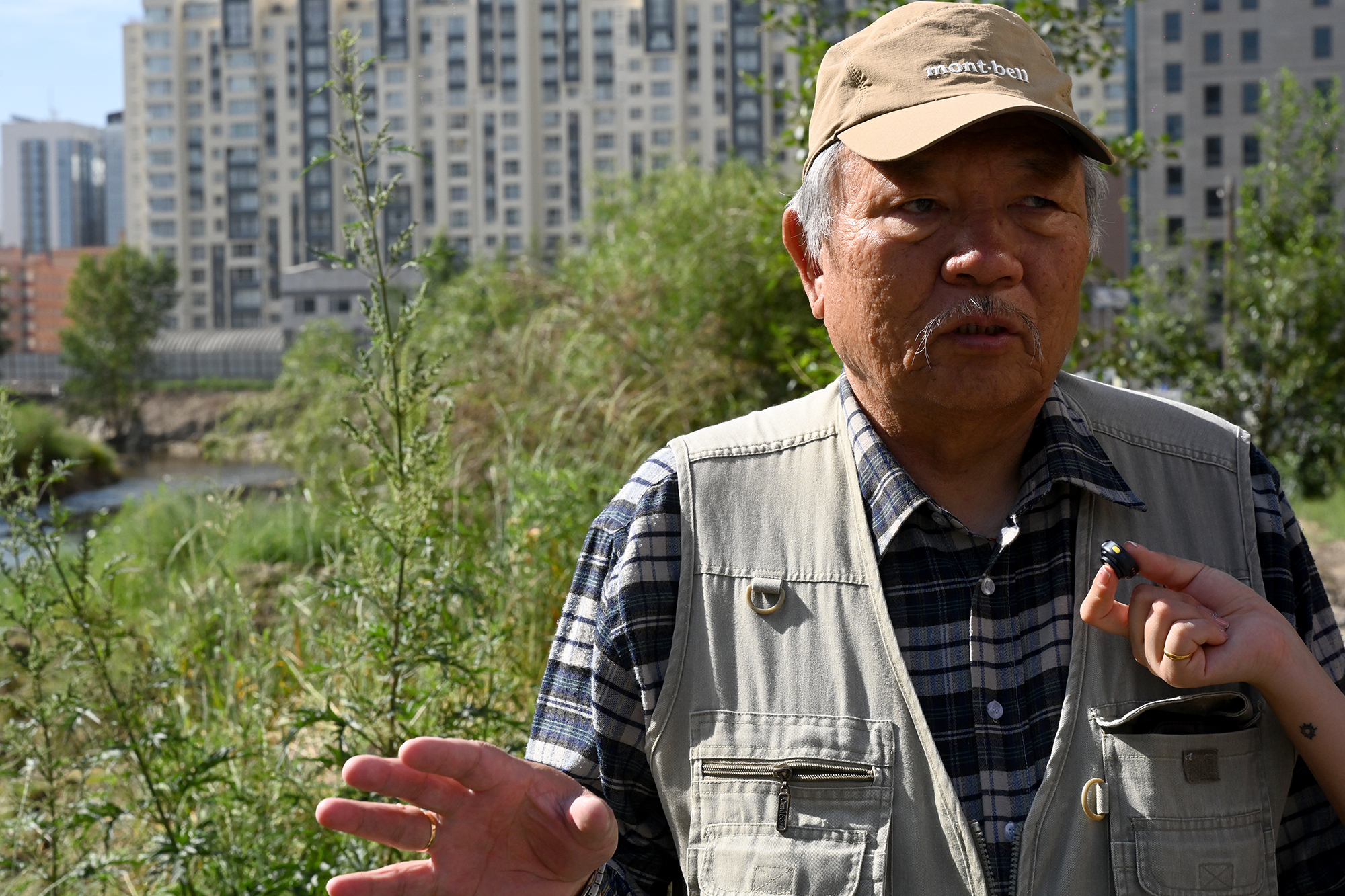 Ш.Баранчулуун: Туулын бургасууд нэлээд хөгширсөн. Тайралт хийснээр шинэ бургас ургана