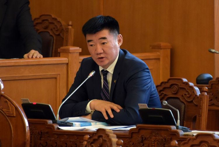 Парламентын тэргүүн: Намын хагарал, сөрөг хүчний шахалтад нисэж чадахгүй “шувуу” шиг гацав
