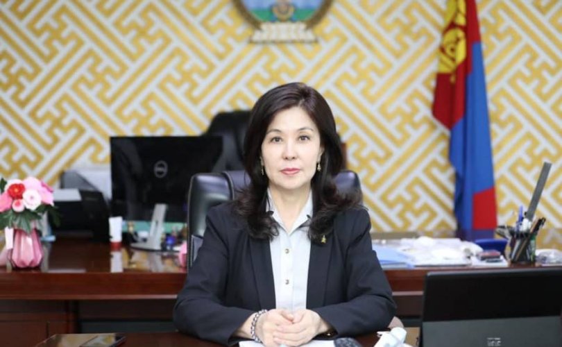 ЭМДЕГ-ын дарга асан Л.Бямбасүрэнд 13 жилийн хорих ял оноожээ