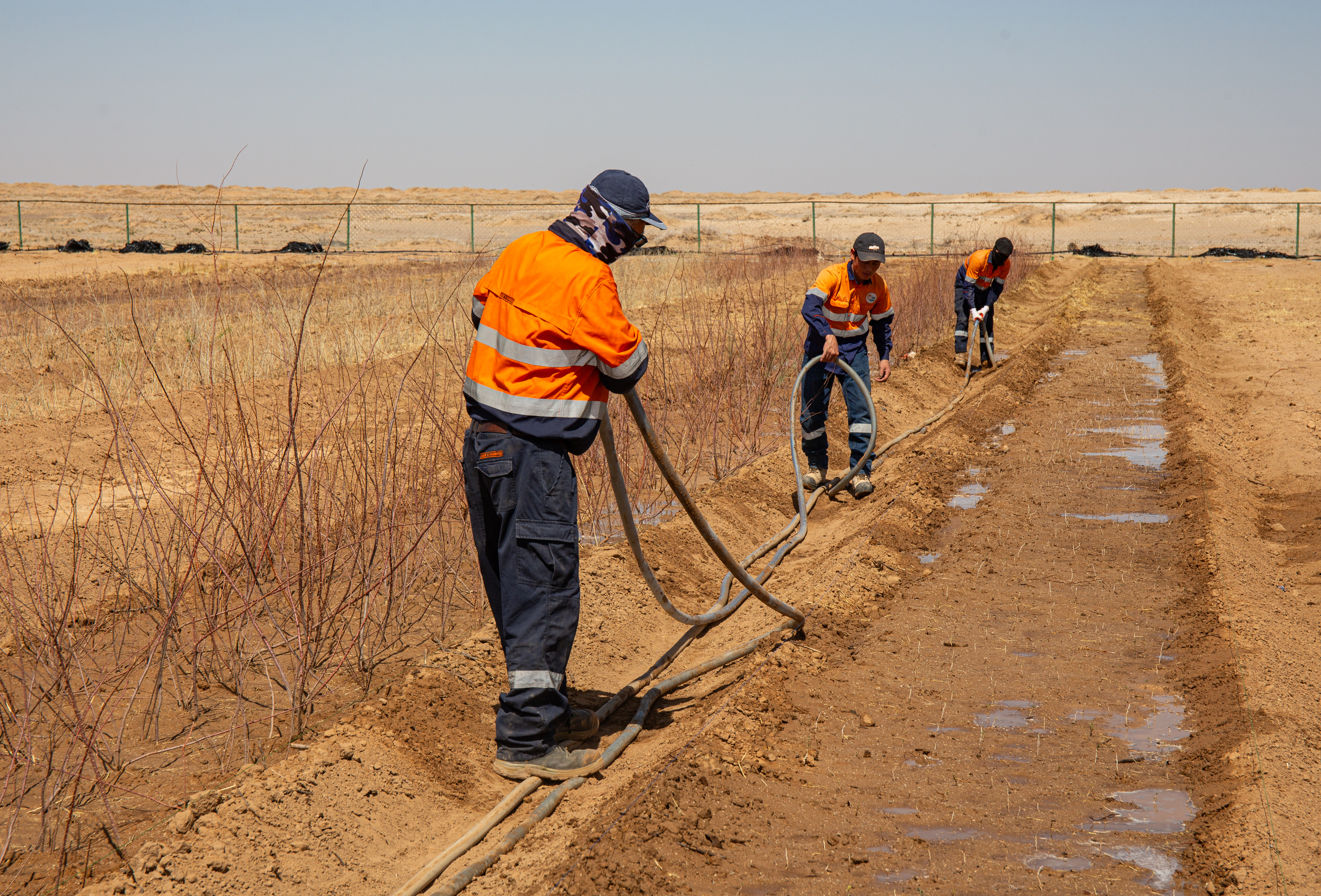 COP17-ын онцлох үр дүн: Газрын доройтлыг бууруулан, 100 сая мод өвлүүлэх цогц зорилт